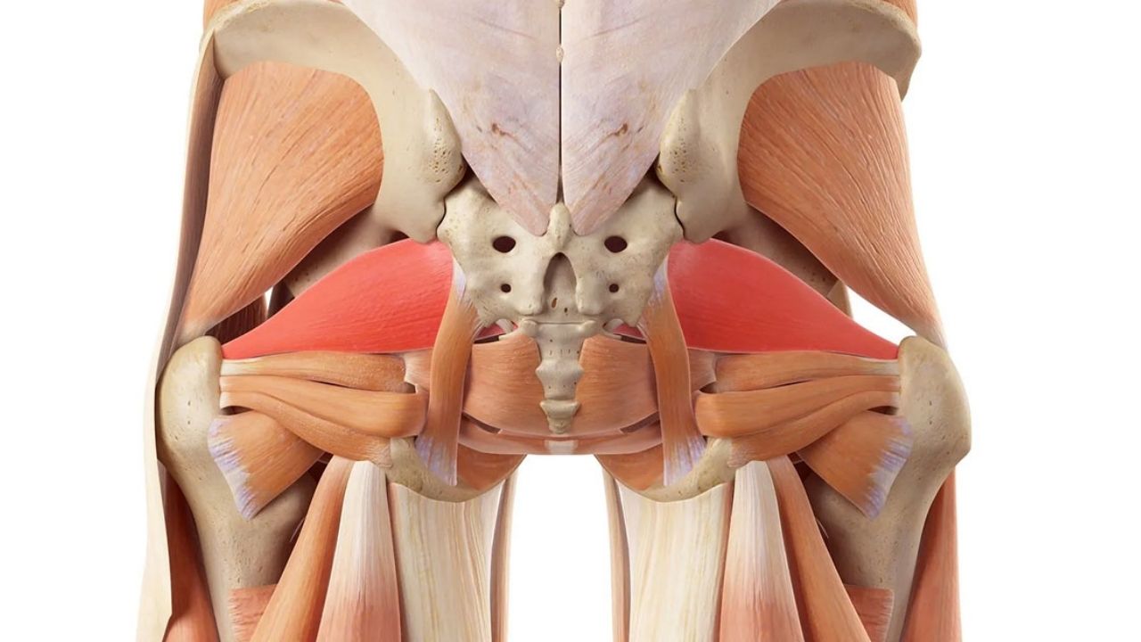 Síndrome do Piriforme